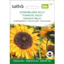 Sonnenblume Hella - Helianthus annuus  - BIOSAMEN