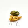 Chili Fatalii Green - Capsicum chinense - Samen