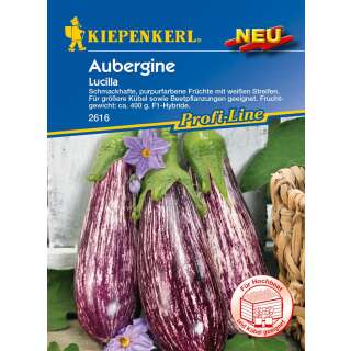 Aubergine, Eierfrucht Lucilla F1 PROFILINE - Solanum...
