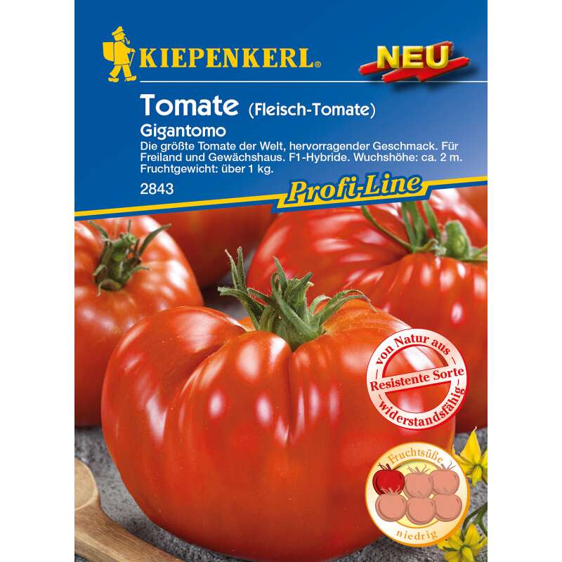 Tomate, Fleischtomate Gigantomo F1 - PROFILINE - Solanum Lycopersicum - Samen