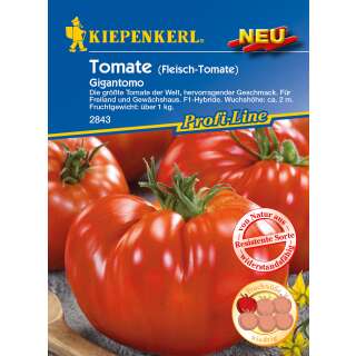 Tomate, Fleischtomate Gigantomo F1 - PROFILINE - Solanum...