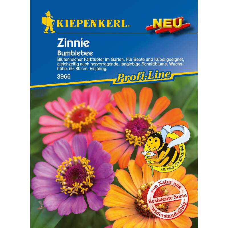 Zinnie Bumblebee - Zinnia elegans - Samen