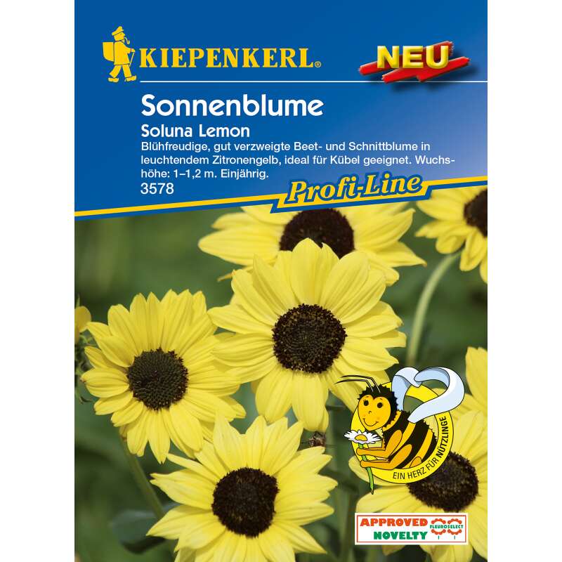Sonnenblume Soluna Lemon PROFILINE - Helianthus debilis - Samen