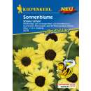 Sonnenblume Soluna Lemon PROFILINE - Helianthus debilis - Samen