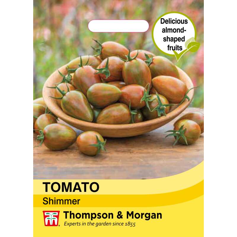 Tomate, Cherrytomate Shimmer F1 - Solanum Lycopersicum L. - Samen