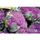 Blumenkohl Di Sicilia violetto - Brassica oleracea var....