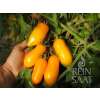 Tomate Banana Legs - Solanum Lycopersicum L. - BIOSAMEN