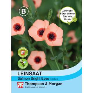 Lein Salmon Bright Eyes - Linum grandiflorum - Samen