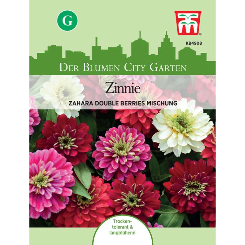 Zinnie Zahara Double Berries Mix - Zinnia marylandica - Samen