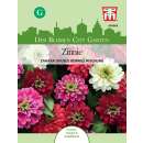 Zinnie Zahara Double Berries Mix - Zinnia marylandica -...