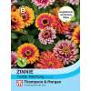 Zinnie Funfair Mix - Zinnia elegans - Samen