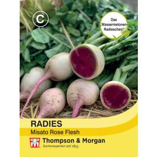 Rettich, Daikon Rettich Misato Rose Flesh F1 - Raphanus sativus - Samen