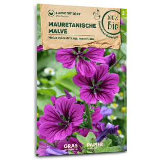 Malve, Mauretanische - Malva sylvestris ssp. mauritiana -...