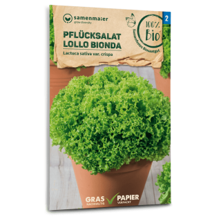 Pflücksalat Lollo Bionda - Lactuca sativa var. crispa - BIOSAMEN