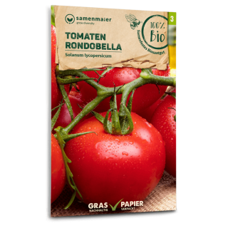 Tomate Rondobella - Solanum Lycopersicum - BIOSAMEN