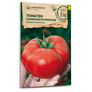 Tomate Ochsenherz Österreicher - Solanum Lycopersicum - BIOSAMEN
