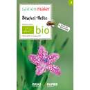 Büschel-Nelke (Wildblume) - Dianthus armeria - BIOSAMEN
