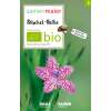 Büschel-Nelke (Wildblume) - Dianthus armeria - BIOSAMEN