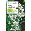Seifenkraut, echtes (Wildblumen) - Saponaria officinalis - BIOSAMEN