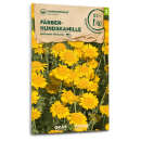 Färber-Hundskamille (Wildblumen) - Anthemis tinctoria - BIOSAMEN