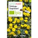 Frühlings-Fingerkraut (Wildblume) - Potentilla neumanniana - BIOSAMEN