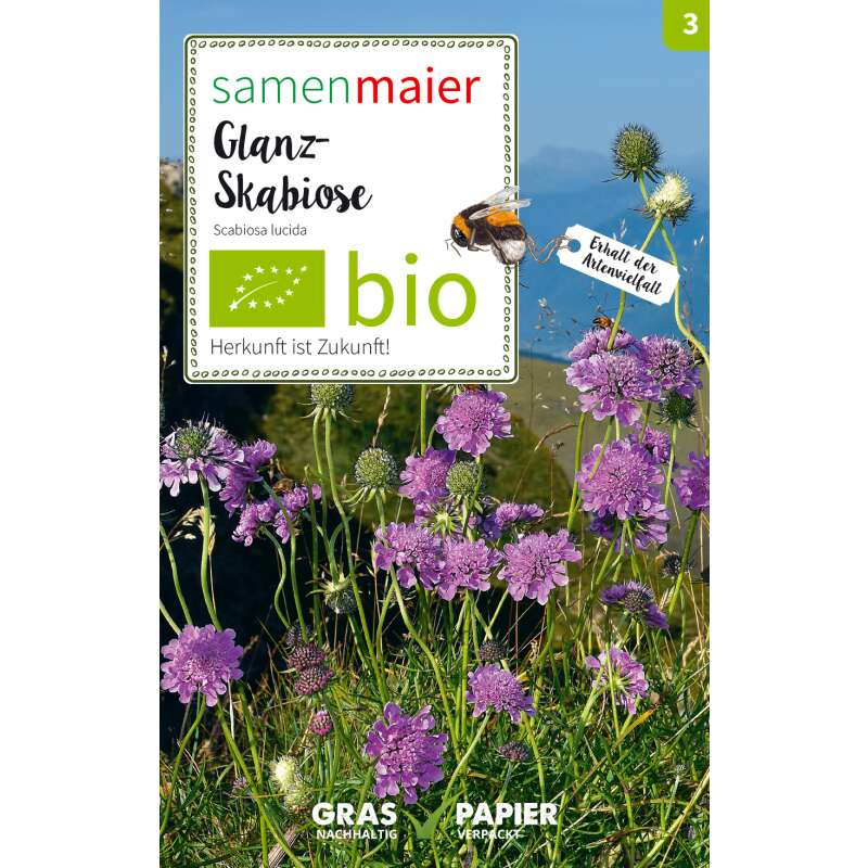 Glanz-Skabiose (Wildblume) - Scabiosa lucida - BIOSAMEN