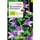 Glockenblume, pfirsichblättrige (Wildblume) - Campanula persicifolia - BIOSAMEN
