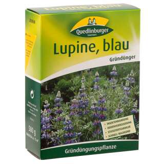 Grosspackung Gründünger, Lupine Blau - Lupinus...