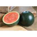 Wassermelone Sugar Baby - Citrullus lanatus