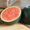 Wassermelone Sugar Baby - Citrullus lanatus