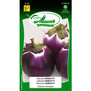 Aubergine, Eierfrucht Brillant F1 - Solanum melongena - Samen