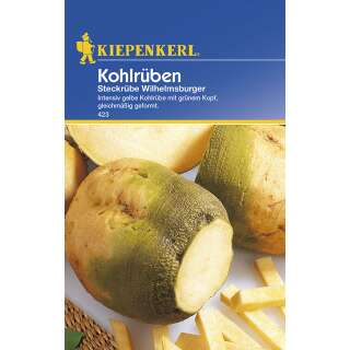 Steckrübe, Bodenkohlrabi, Kohlrübe...