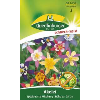 Akelei Spezialrasse Mischung (Schneck-resisten) - Aquilegia caerulea - Samen