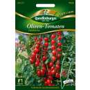Tomate, Oliven-Tomate Pandorino - Solanum Lycopersicum - Samen