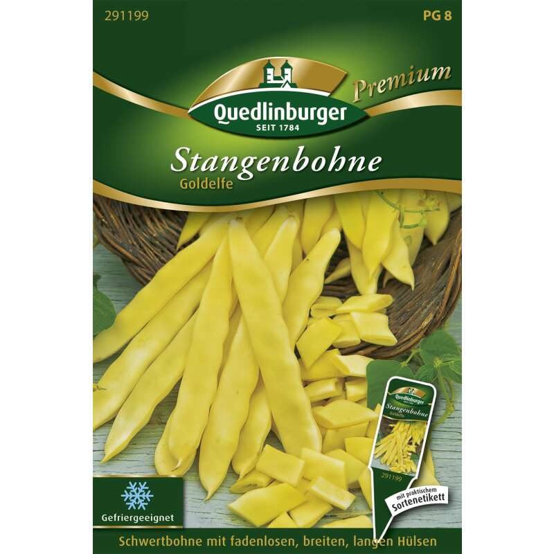 Stangenbohne Goldelfe - Phaseolus vulgaris L. - Samen
