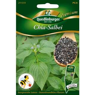 Chia-Salbei - Salvia hispanica - Samen