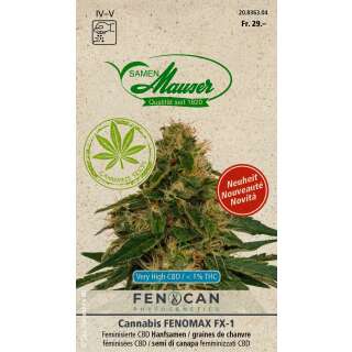 CBD Hanf 'Fenomax' Samen kaufen - Cannabis sativa