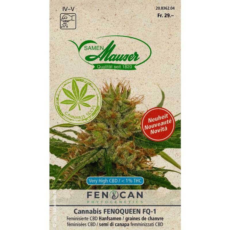 CBD Hanf, Fenoqueen - Cannabis - Hanfsamen