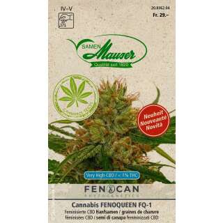 CBD Hanf, Fenoqueen - Cannabis - Hanfsamen