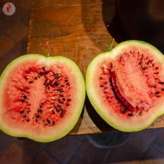 Wassermelone Astrakhanski - Citrullus lanatus - BIOSAMEN