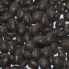Edamame, Sojabohne Black Pearl - Glycine max - BIOSAMEN