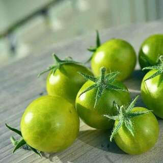 Tomate, Cherrytomate Dwarf Grinch Cherry - Solanum...