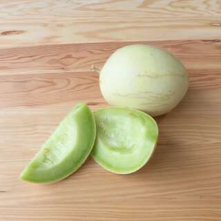 Melone, Zuckermelone Honeydew A Chair Verte - Cucumis melo - BIOSAMEN