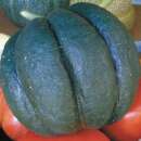 Melone, Zuckermelone Noir des Carmes - Cucumis melo -...