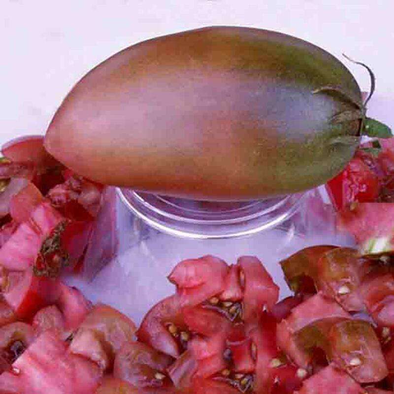 Tomate Purple Russian - Solanum Lycopersicum - BIOSAMEN