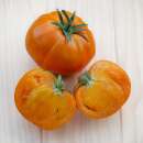 Tomate Tangerine - Solanum Lycopersicum - BIOSAMEN