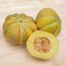 Melone, Zuckermelone Vert Grimpant - Cucumis melo - BIOSAMEN