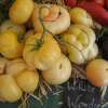 Tomate White Wonder - Solanum Lycopersicum - BIOSAMEN