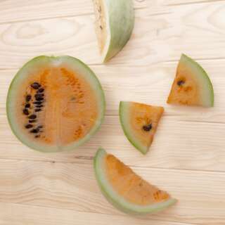 Wassermelone Desert King - Citrullus lanatus - BIOSAMEN