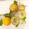 Melone, Zuckermelone Farthest North Galia Mischung - Cucumis melo - BIOSAMEN